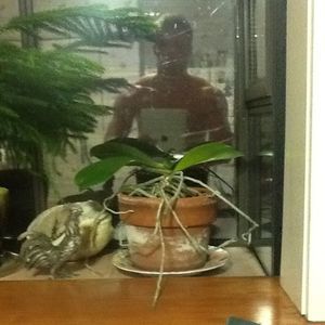 Meet your Posher, Nathan